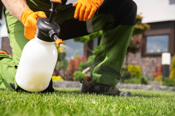 Best Wildlife Control Services  in Edwardsville, PA