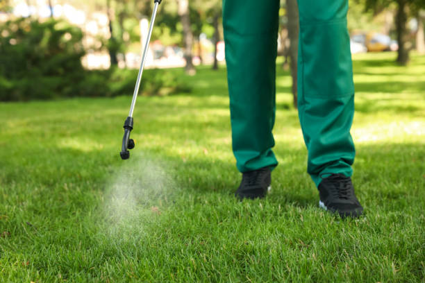 Best Mosquito Control Services  in Edwardsville, PA